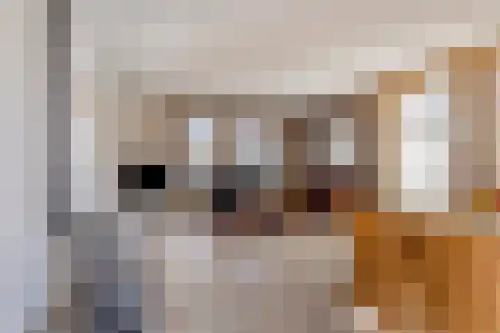 De Geerden 19 Nistelrode thumbnail 13