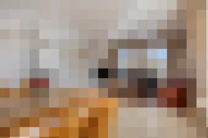 De Geerden 19 Nistelrode thumbnail 14