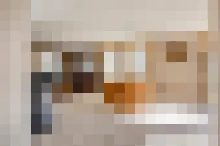 De Geerden 19 Nistelrode thumbnail 19