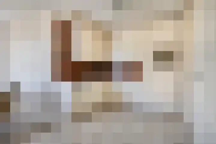 De Geerden 19 Nistelrode thumbnail 21