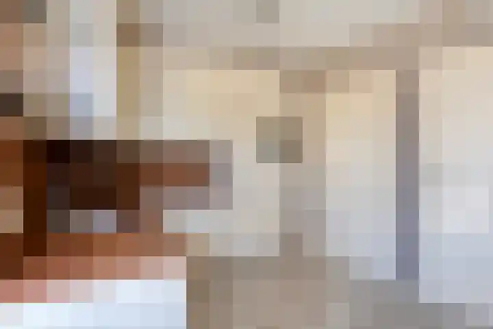 De Geerden 19 Nistelrode thumbnail 25