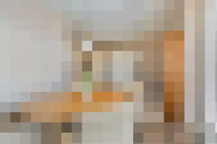 De Geerden 19 Nistelrode thumbnail 28