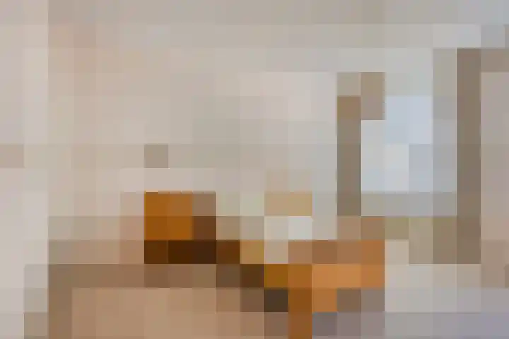 De Geerden 19 Nistelrode thumbnail 32