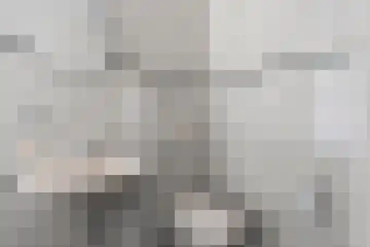 De Geerden 19 Nistelrode thumbnail 36
