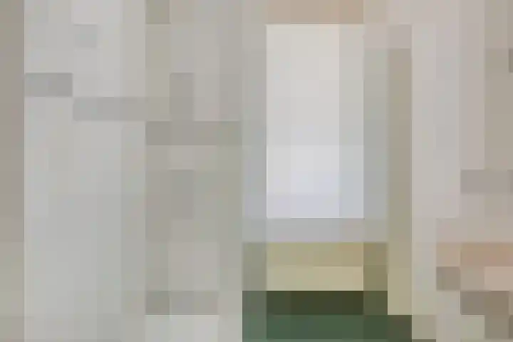 De Geerden 19 Nistelrode thumbnail 37