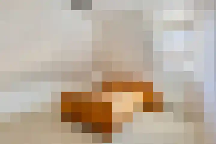 De Geerden 19 Nistelrode thumbnail 42