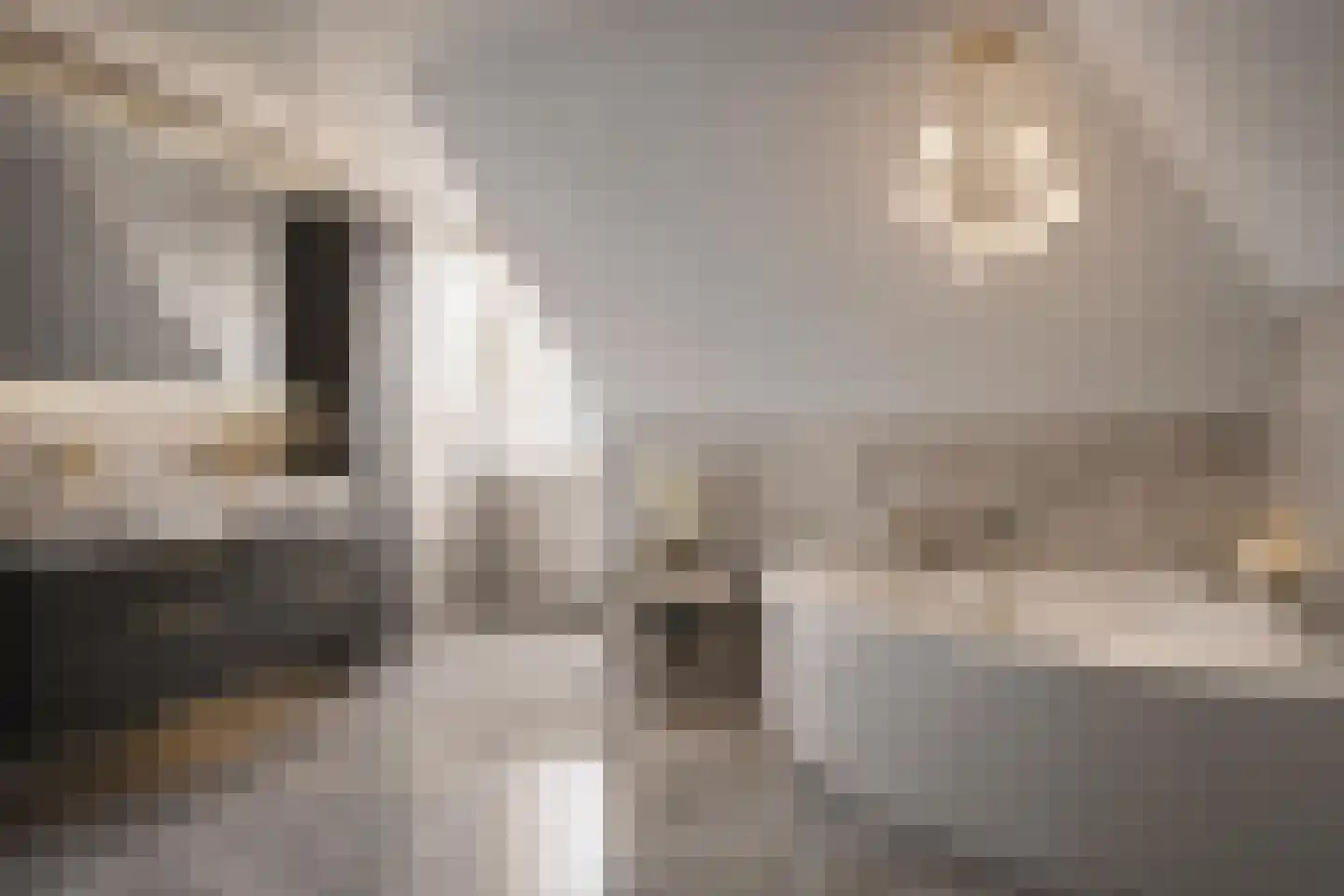 De Geerden 19 Nistelrode thumbnail 43