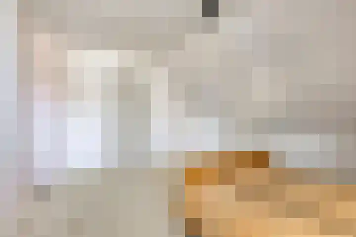 De Geerden 19 Nistelrode thumbnail 43
