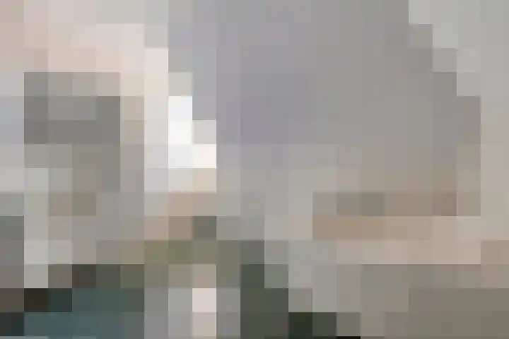De Geerden 19 Nistelrode thumbnail 44