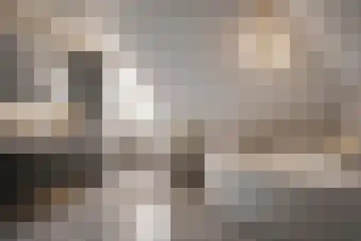 De Geerden 19 Nistelrode thumbnail 45