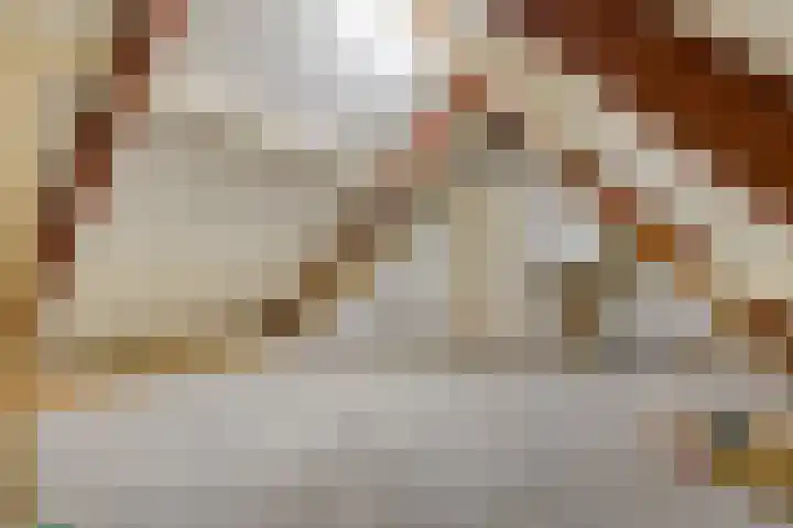 De Geerden 19 Nistelrode thumbnail 54