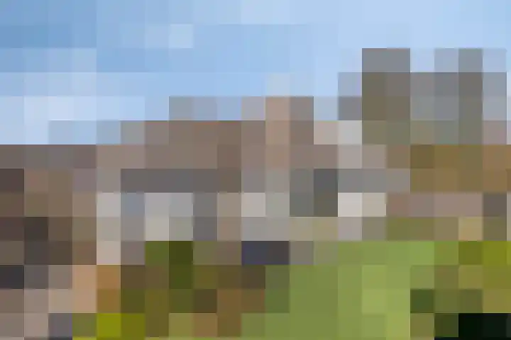 De Geerden 19 Nistelrode thumbnail 55