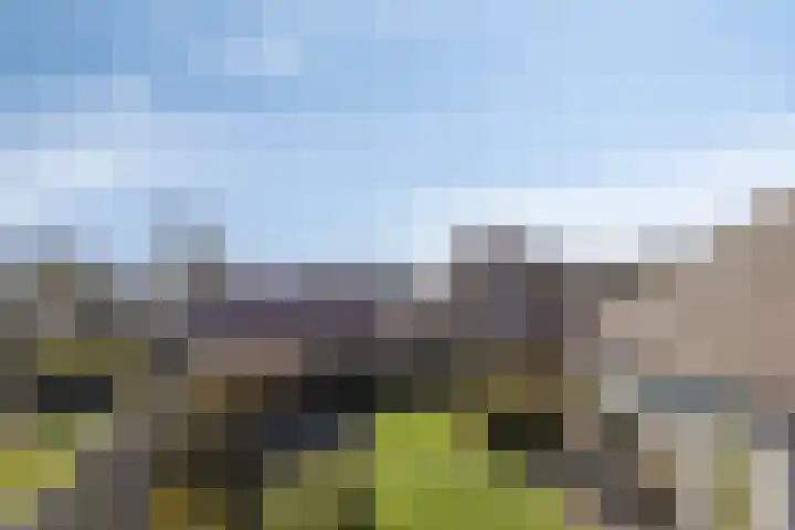 De Geerden 19 Nistelrode thumbnail 56