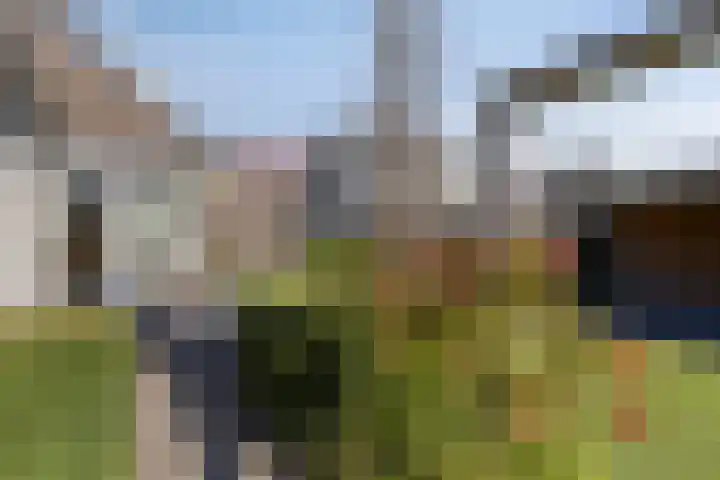 De Geerden 19 Nistelrode thumbnail 57