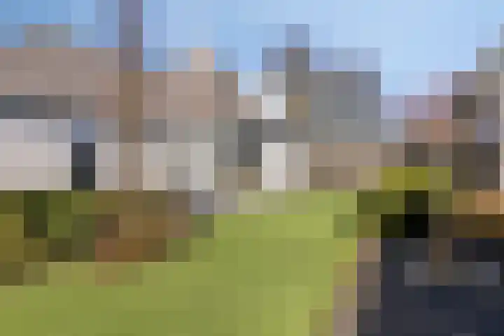 De Geerden 19 Nistelrode thumbnail 58