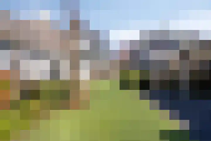 De Geerden 19 Nistelrode thumbnail 59