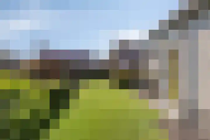 De Geerden 19 Nistelrode thumbnail 61