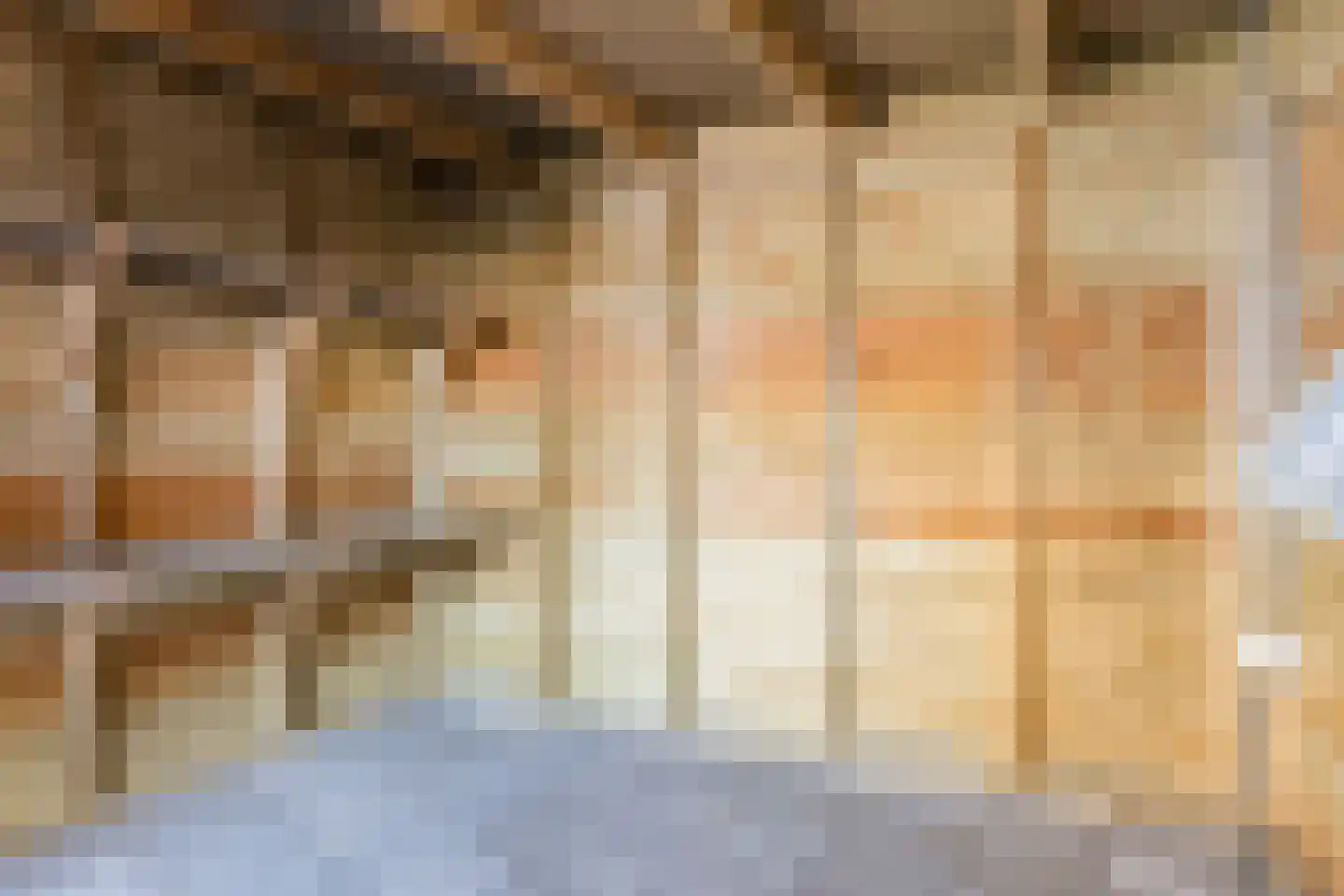 De Geerden 19 Nistelrode thumbnail 61