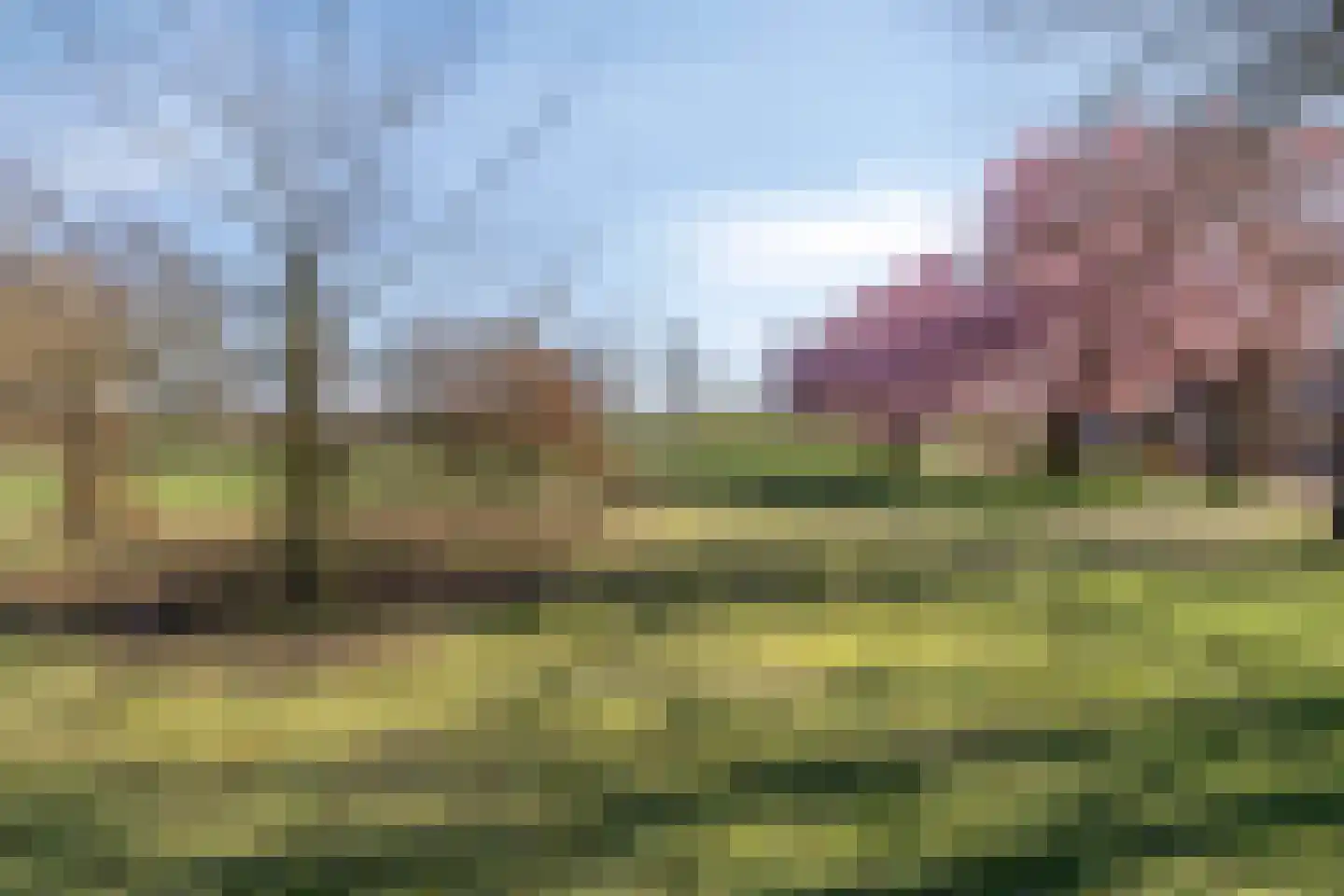 De Geerden 19 Nistelrode thumbnail 63