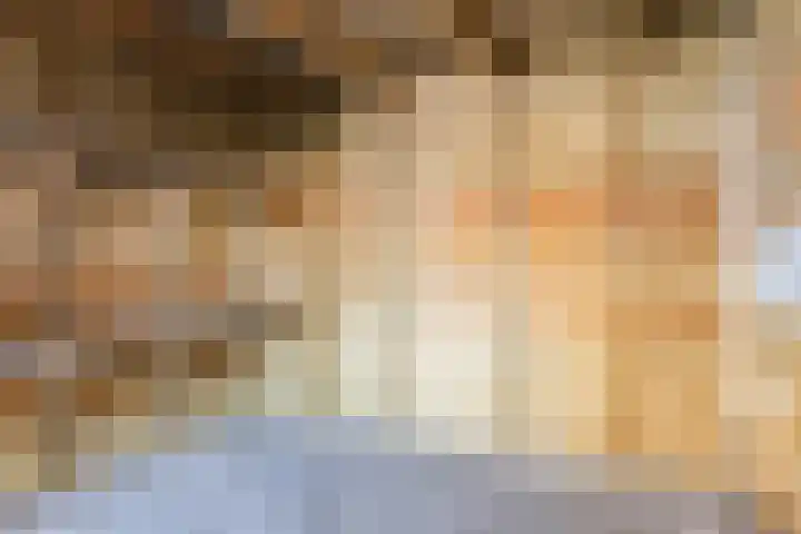 De Geerden 19 Nistelrode thumbnail 63