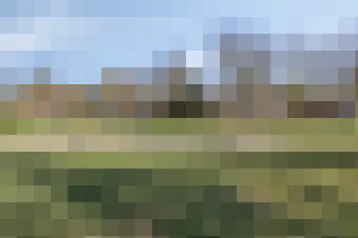 De Geerden 19 Nistelrode thumbnail 64