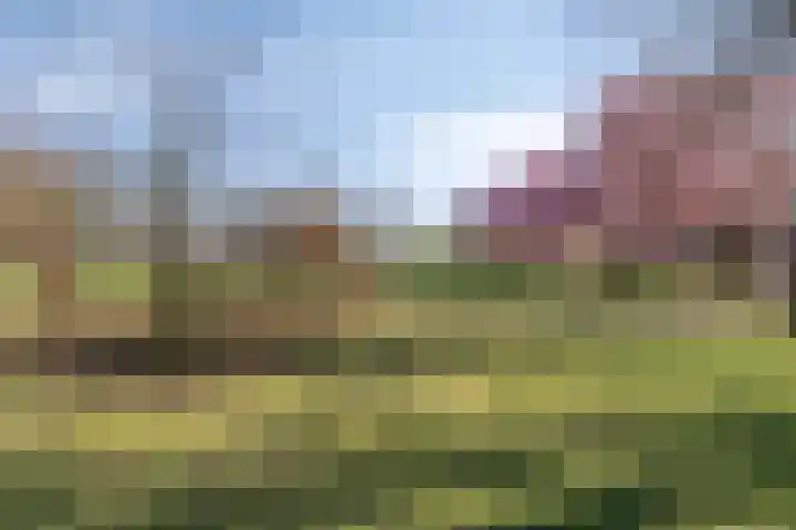De Geerden 19 Nistelrode thumbnail 65