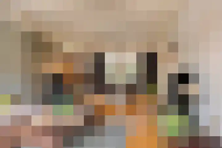 De Geerden 3 Nistelrode thumbnail 11