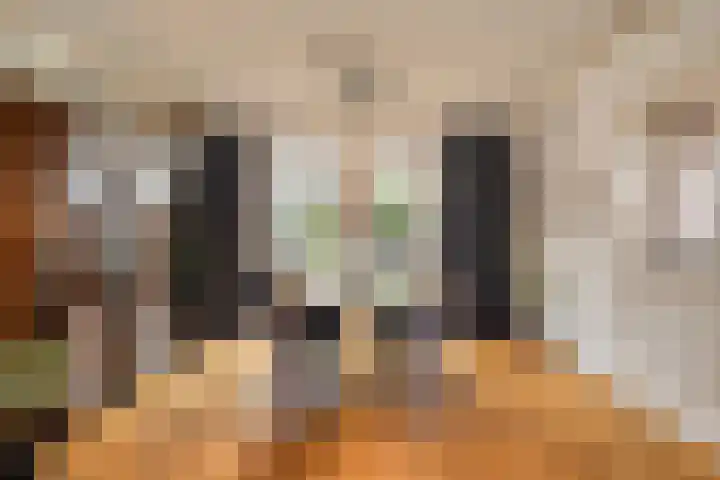 De Geerden 3 Nistelrode thumbnail 12