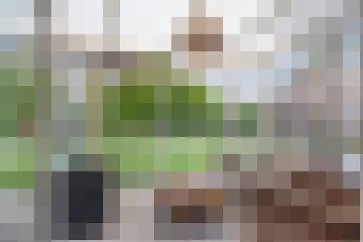 De Geerden 3 Nistelrode thumbnail 13