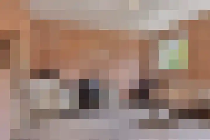 De Geerden 3 Nistelrode thumbnail 14