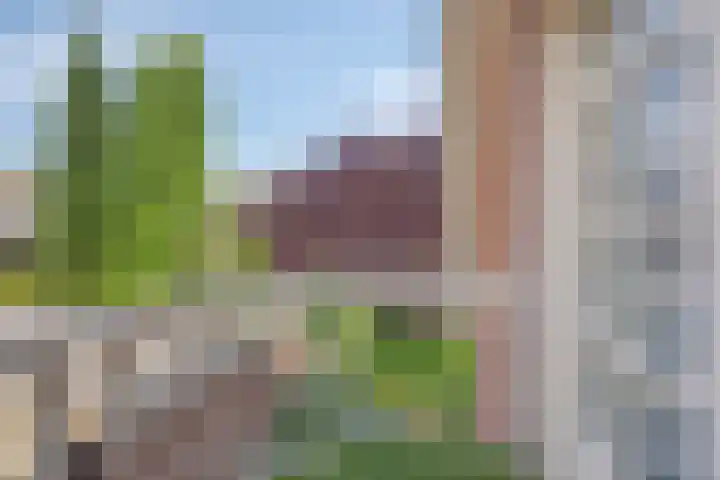 De Geerden 3 Nistelrode thumbnail 24