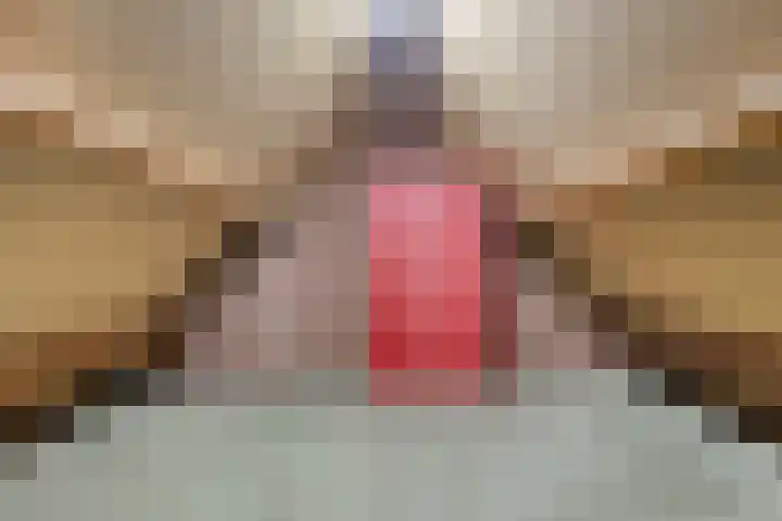 De Geerden 3 Nistelrode thumbnail 33
