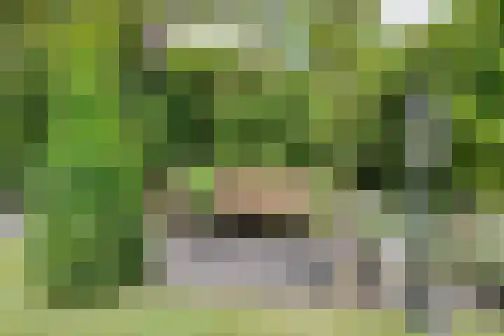 De Geerden 3 Nistelrode thumbnail 36