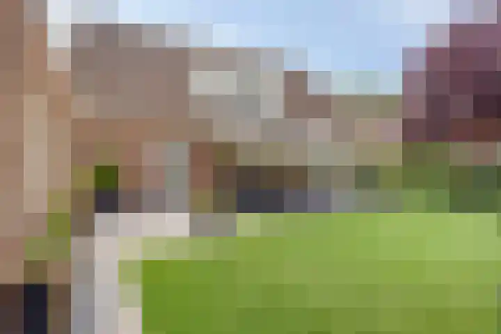 De Geerden 3 Nistelrode thumbnail 37