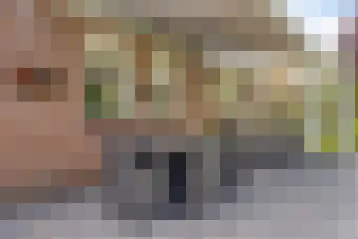 De Geerden 3 Nistelrode thumbnail 38