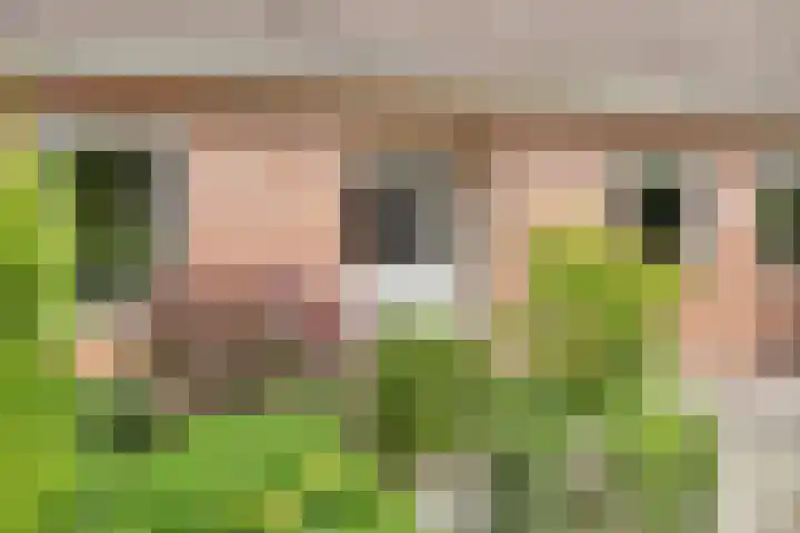 De Geerden 3 Nistelrode thumbnail 4