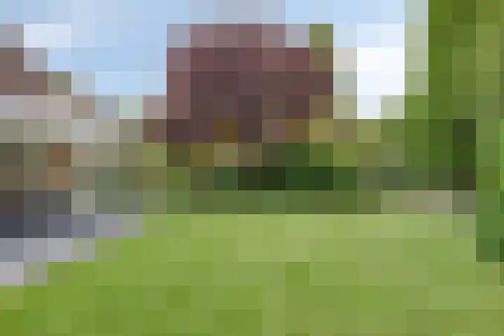 De Geerden 3 Nistelrode thumbnail 41