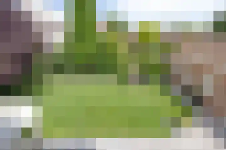 De Geerden 3 Nistelrode thumbnail 42