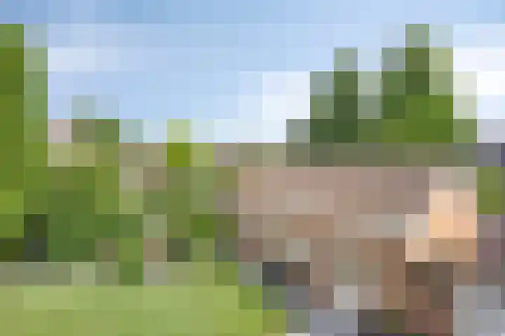 De Geerden 3 Nistelrode thumbnail 43