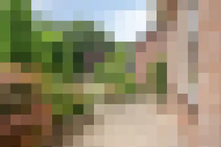 De Geerden 3 Nistelrode thumbnail 49