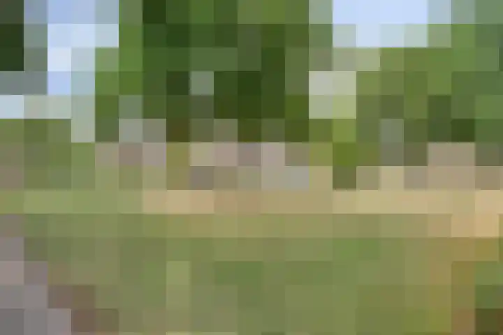De Geerden 3 Nistelrode thumbnail 52