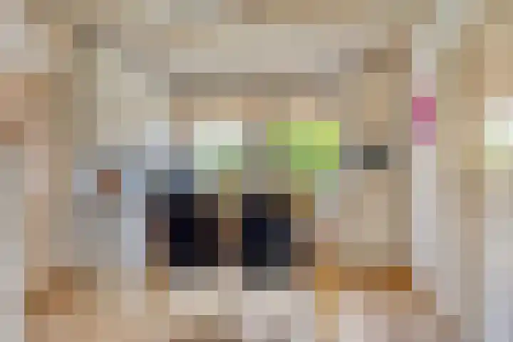 De Geerden 3 Nistelrode thumbnail 6