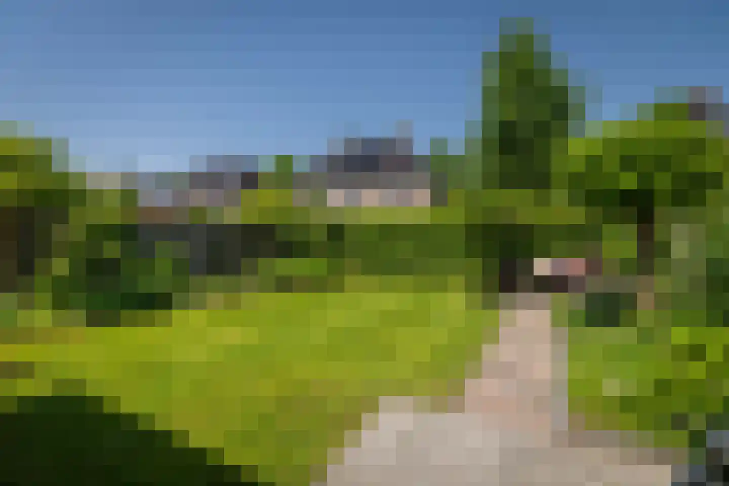 De Geere 15 Wijhe thumbnail 12