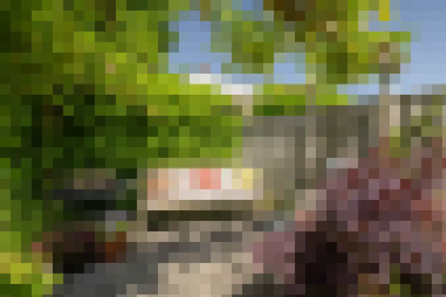 De Geere 15 Wijhe thumbnail 13