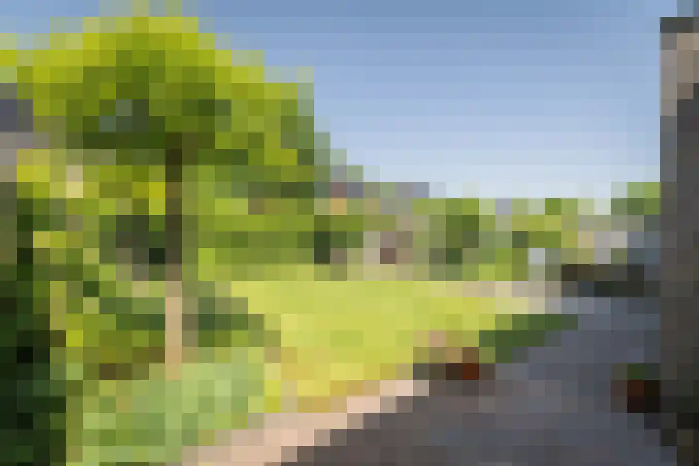 De Geere 15 Wijhe thumbnail 16