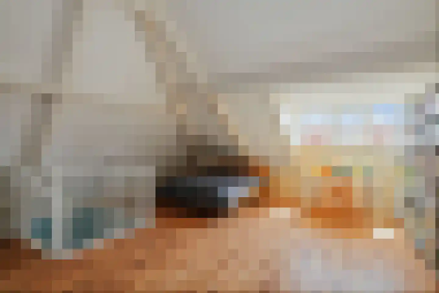 De Geere 15 Wijhe thumbnail 25