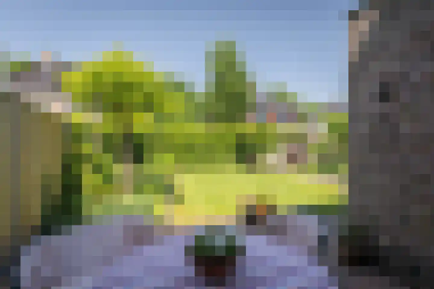 De Geere 15 Wijhe foto 3