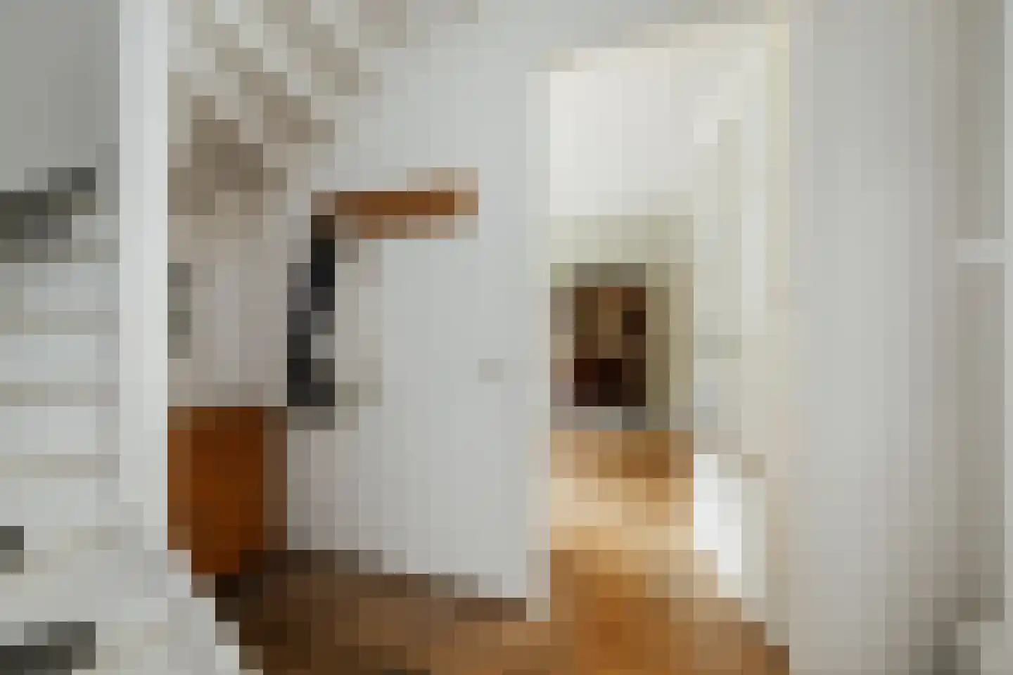 De Geere 15 Wijhe thumbnail 5