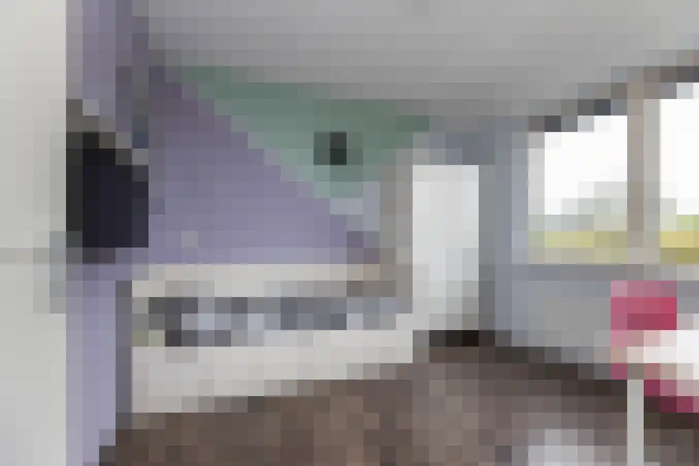 De Geere 30 Wijhe thumbnail 13