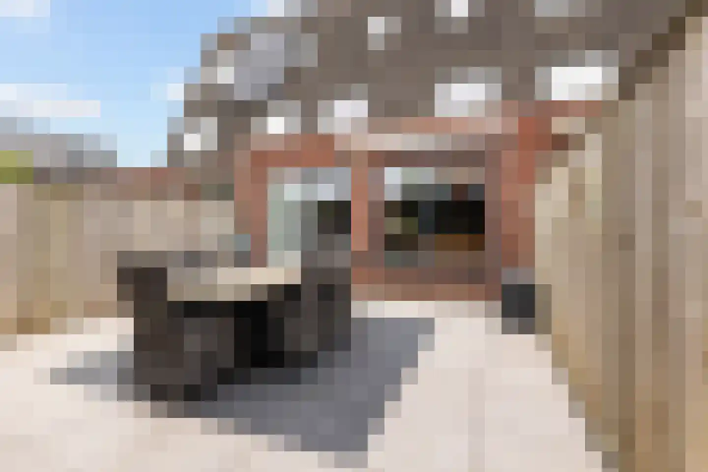 De Geere 30 Wijhe thumbnail 20